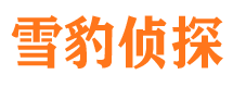 类乌齐市私家侦探